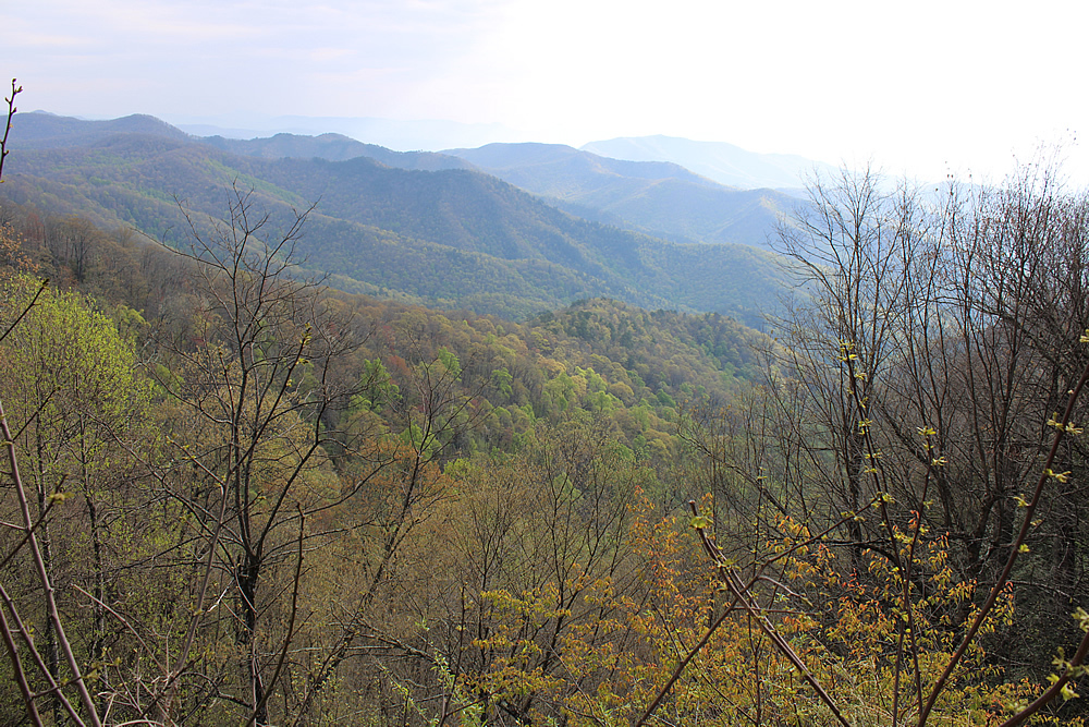 BN5229●Colombia Blueridge Mountains 30 m98434903508_1.jpg