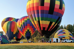 Hot air balloons launching at the Gold Discovery Days in Custer Hot air balloons launching at the Gold Discovery Days in Custer