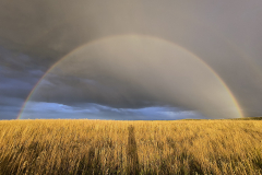 A double rainbow in Nebraska with my shadow in the middle A double rainbow in Nebraska with my shadow in the middle