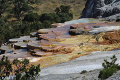 Mammoth geyser basin