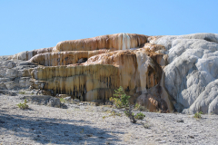 Mammoth geyser basin