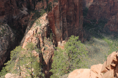 Looking down at Scouts Landing from Angels Landing
