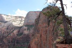 Looking up at Angels Landing trail