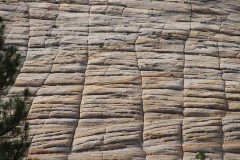 Checkerboard at Zion National Park
