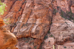 Rocks near Scout Lookout in Zion National Park