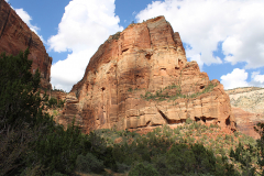 Scouts Lookout and Angels Landing