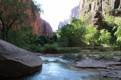 Temple of  Sinawavain in Zion National Park