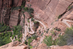 The trail to Scouts Lookout in Zion National Park