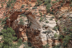 Zion National Park